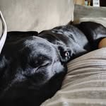 Tracy Doug Rankin - @tracystittrankin - Instagram