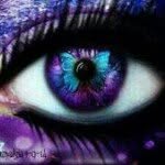 Tracey Stoltz - @traceystoltz - Instagram