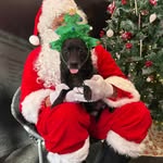 Tracy Stoltz - @tstoltzphilly - Instagram