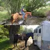 horsecrazy455 - @tracystorms0 - TikTok