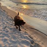 Tracy Storms - @tracy_storms - Instagram