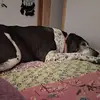 Tracie Straight - @tracie.straight7 - TikTok