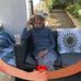 Tracey Strain - Facebook