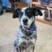 Tracey Streit Fritch - Facebook