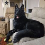 Tracy Stumpf - @stumpftracy2023 - Instagram