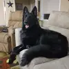 Tracy Stumpf - @tracy.stumpf - TikTok