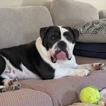 Tracy Stumpf Lockwood - @locktracy - Instagram