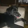 tracystumpf645 - @tracystumpf645 - TikTok