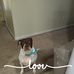 Tracy Sturgill - Facebook