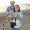 Tracy Sturm - @tracy.sturm - TikTok