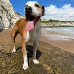 @tracy_sutherland_22 - Instagram