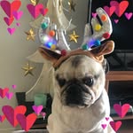 Tracy Sutherland - @sutherland7529 - Instagram