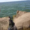 Tracy Sutherland - @tracy.sutherland7 - TikTok