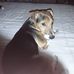 Tracy Setterfield - Facebook