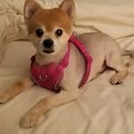 Tracy Sutterfield Dolbier - @tracy.dolbier - Instagram