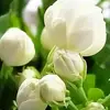 Tracy T Alsop - @tracy.t.alsop - TikTok