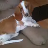 Tracy Taylor - @tracy.taylor8 - TikTok