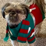 Tracy Talbott - @talbott3486 - Instagram