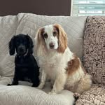 Tracy Talbott Gulbrandsen - @flipflops0108 - Instagram