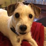 Tracy Templin - @tracytree11 - Instagram