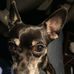 Tracy Tilley - Facebook