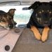 Tracey Tomlin - Facebook