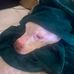 Tracey Trahan - Facebook