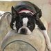 Tracy K Trainor - Facebook