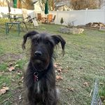 Tracy Trainor-Monge - @trainormonge - Instagram