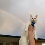 Tracy Trapp - @trappgirl1 - Instagram