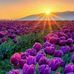 Tracy Treadwell - Facebook