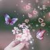 Tracy Treadwell - Facebook