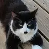 Tracy Trosclair - @tracy.trosclair3 - TikTok