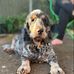 Tracy Tull - Facebook