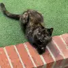 Tracy Aslanturk - @tracy.aslanturk - TikTok