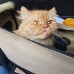 Tracy Turk - @tracy.turk.77 - Instagram