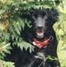 Tracy Tutt - Facebook