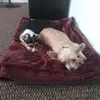 Tracy Stuttle - @tracy.stuttle - TikTok