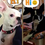 Tracy Tuttle - Facebook
