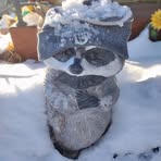 Tracy Tuttle - Facebook