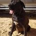 Tracey Underhill - Facebook