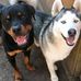 Tracey Underhill - Facebook