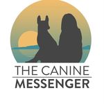 Tracy Vail - @thecaninemessenger - Instagram