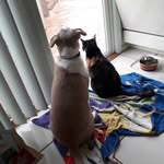 Tracy Van Meter - @tmmvan - Instagram
