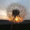 tracyvanmeterrick - @tvmr03 - TikTok