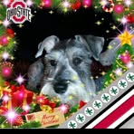 Van Meter Tracy - Facebook