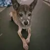 tracyvann6 - @tracyvann6 - TikTok