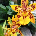 Tracy Vermilyea - @tvermily - Instagram