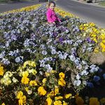 La Loquilla Tracy - @tracy.vidal.35 - Instagram