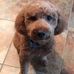 Tracy Virden - Facebook